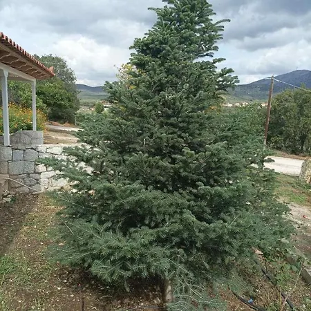 Σπίτι διακοπών Agrotospito “elatos” *